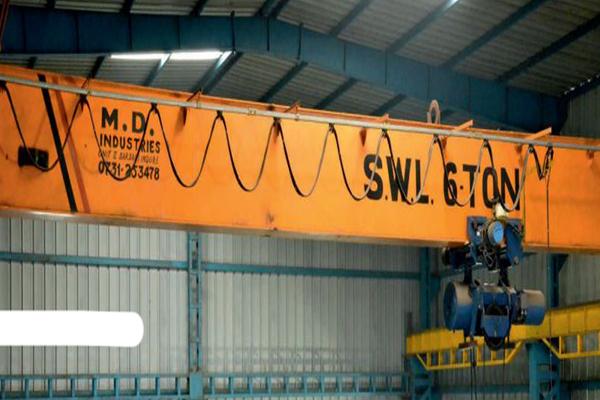 Double Girder EOT Crane